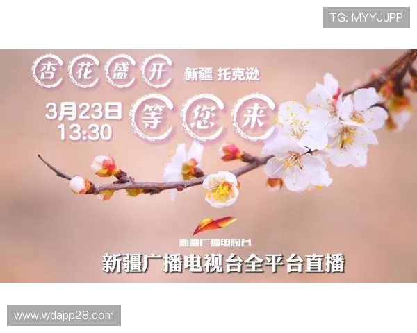 XJTV2手机直播平台高清流畅观看指南 XJTV2手机直播平台高清流畅观看指南